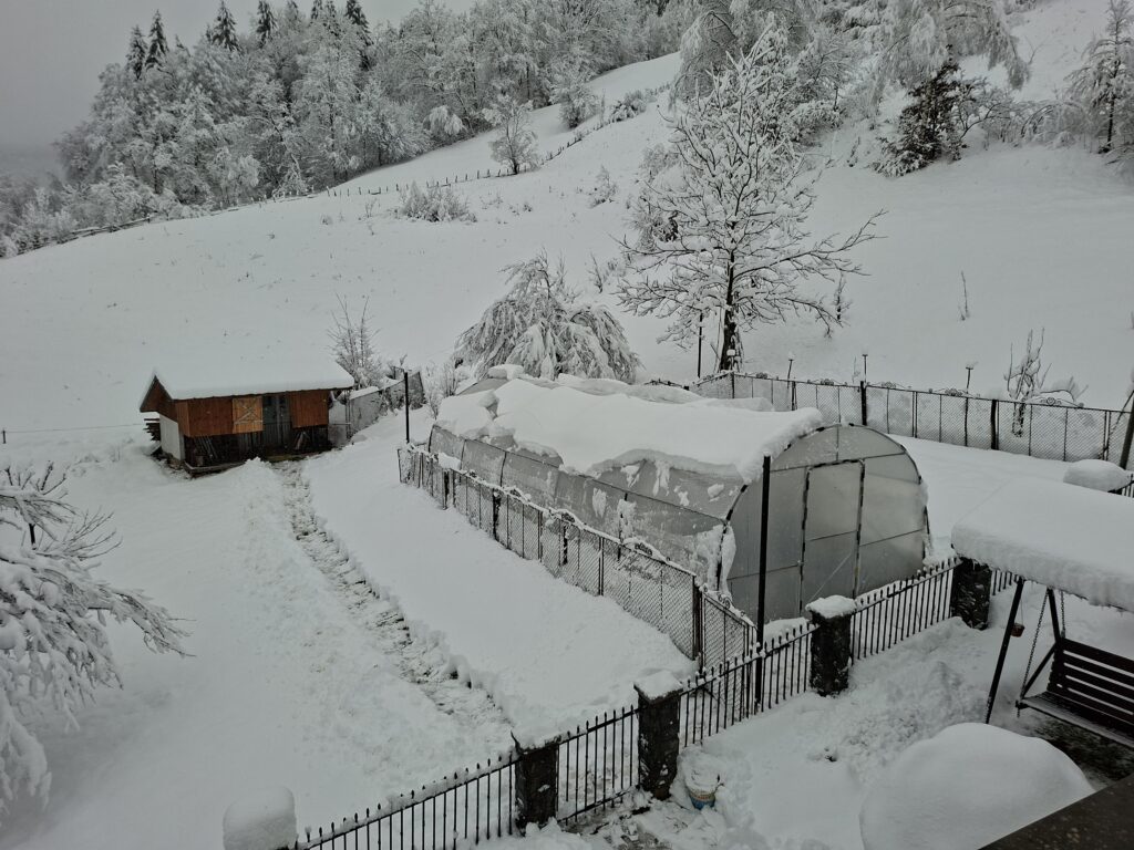 Image #2 from Simona - Ciuruleasa, Jud. AB