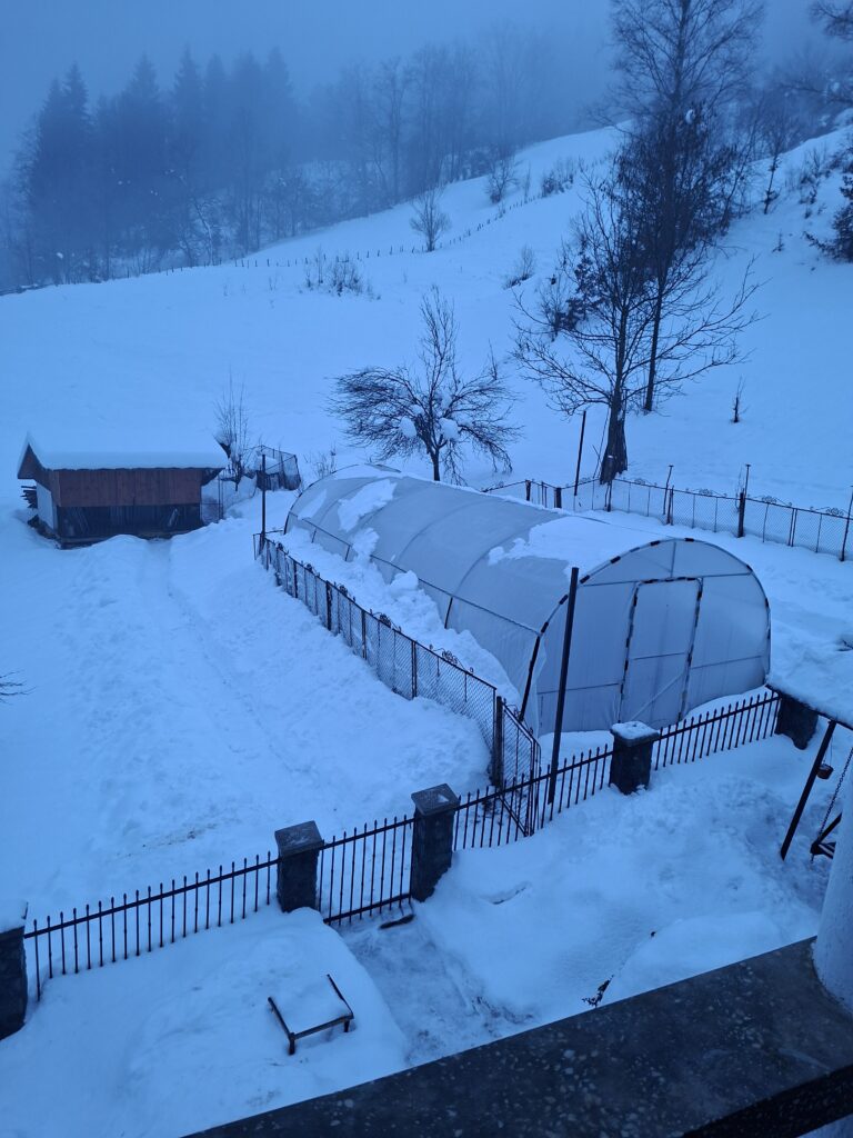 Image #1 from Simona - Ciuruleasa, Jud. AB