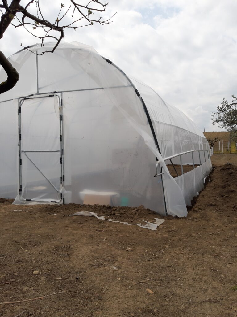 Image #1 from Fanel Vasilache - Tecuci, Jud. Galați