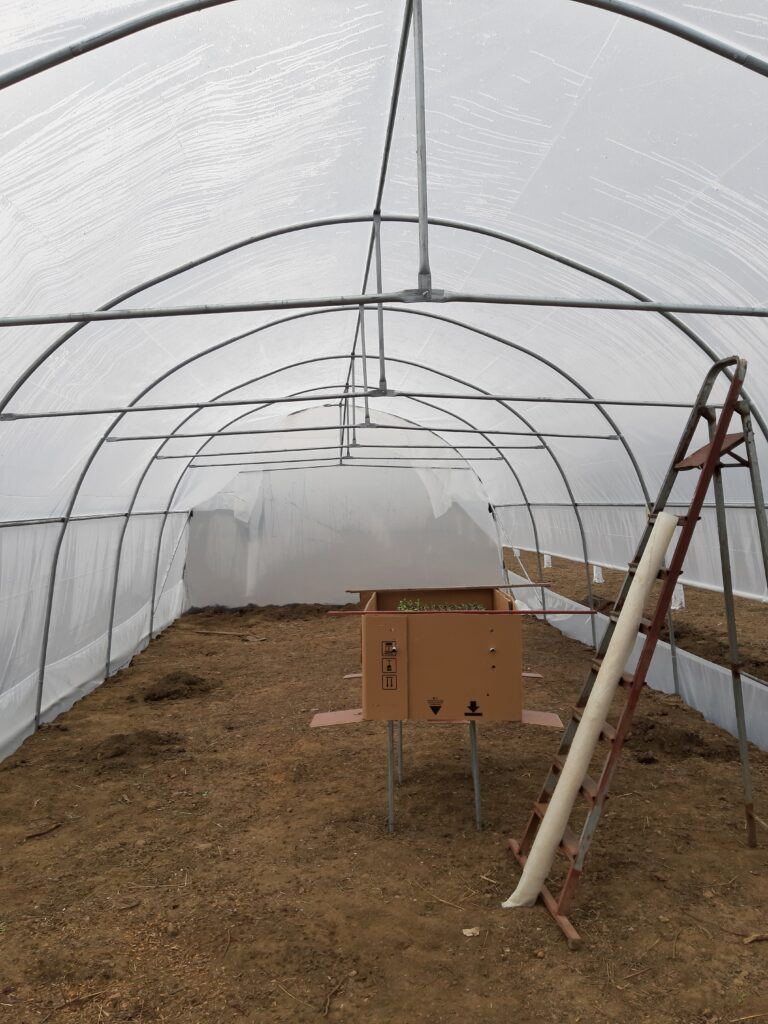 Image #2 from Fanel Vasilache - Tecuci, Jud. Galați