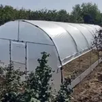 Solar profesional 5x14m complet, cu cadru metalic zincat