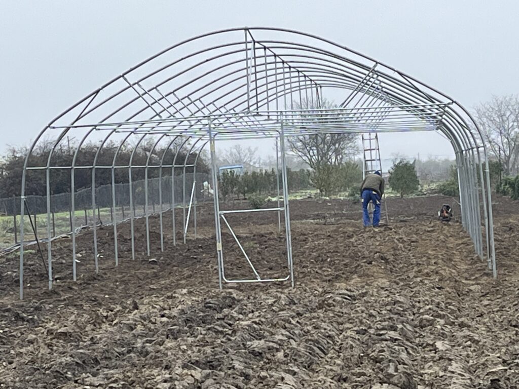 Image #1 from Laurentiu Sorin Petrache - Buturugeni, Jud. GR