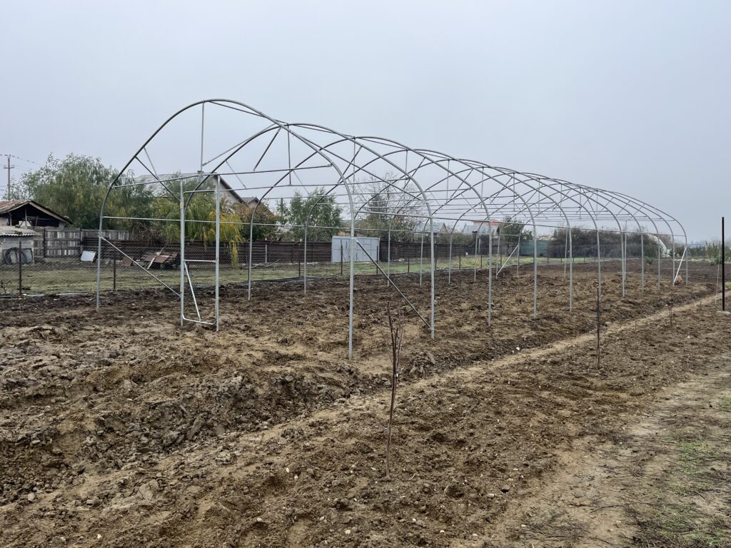 Image #3 from Laurentiu Sorin Petrache - Buturugeni, Jud. GR