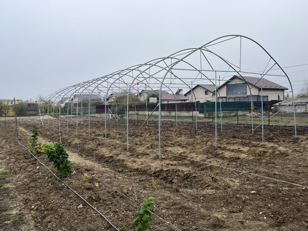 Image #2 from Laurentiu Sorin Petrache - Buturugeni, Jud. GR