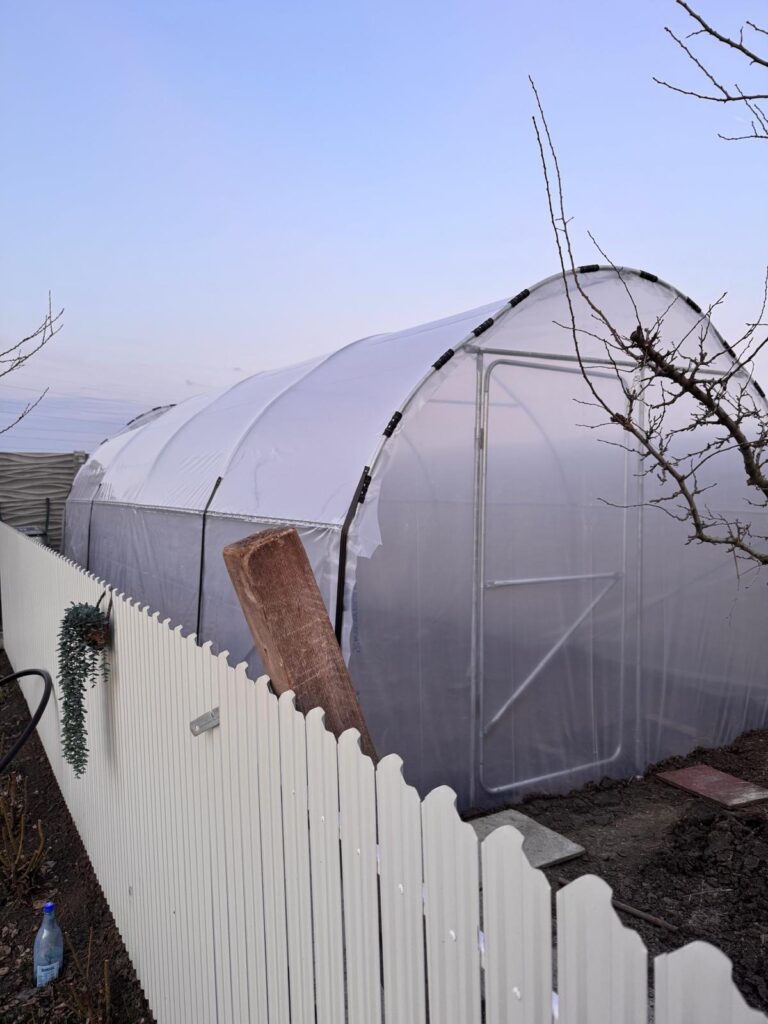 Image #1 from Pieptea Aurel - Magurele, Jud. IF