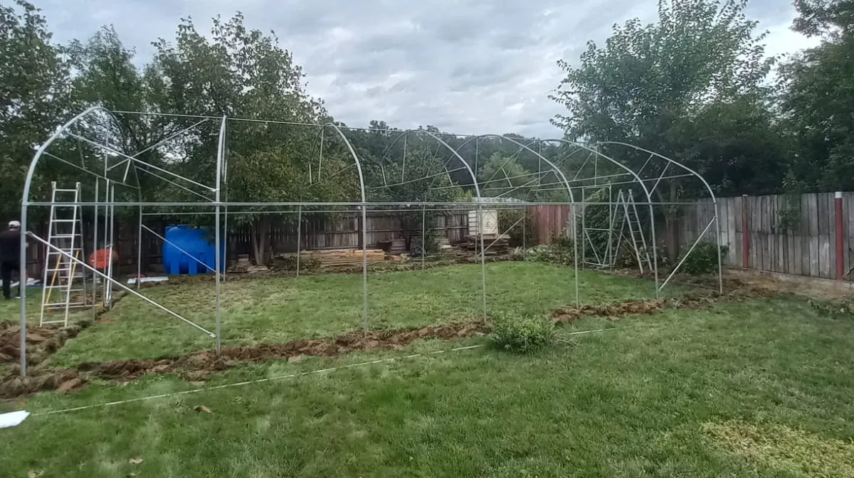 Solar profesional 6×12m cu pereți verticali, țeavă Ø40 mm - imagine 10