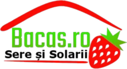 logo bacas