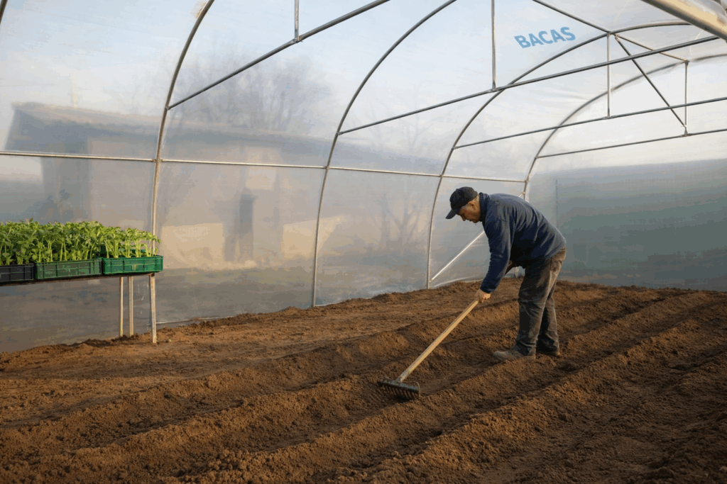 Interior solar Bacas pregătit pentru plantarea culturilor de primăvară