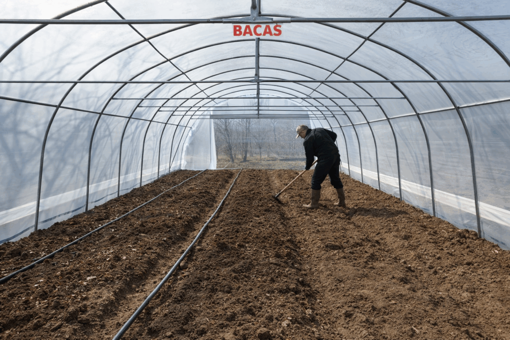 lucrari in solar martie pregatirea solului intr-un solar bacas inainte de plantare