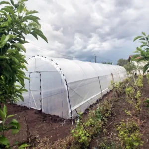 Solar de grădină Bacas 5x22m montat