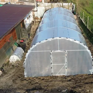 Solar Bacas 5x10m